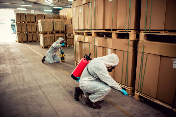 Best Local Pest Control Services  in Hancock, MD