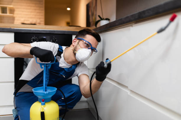 Best Rat Extermination Near Me  in Hancock, MD
