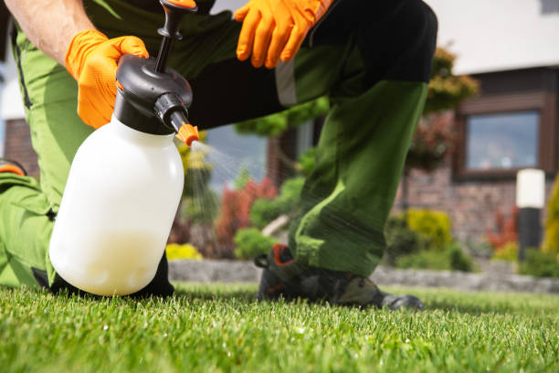 Best Exterminator Services  in Hancock, MD