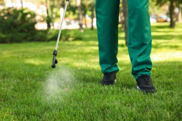 Best Pest Removal Services  in Hancock, MD
